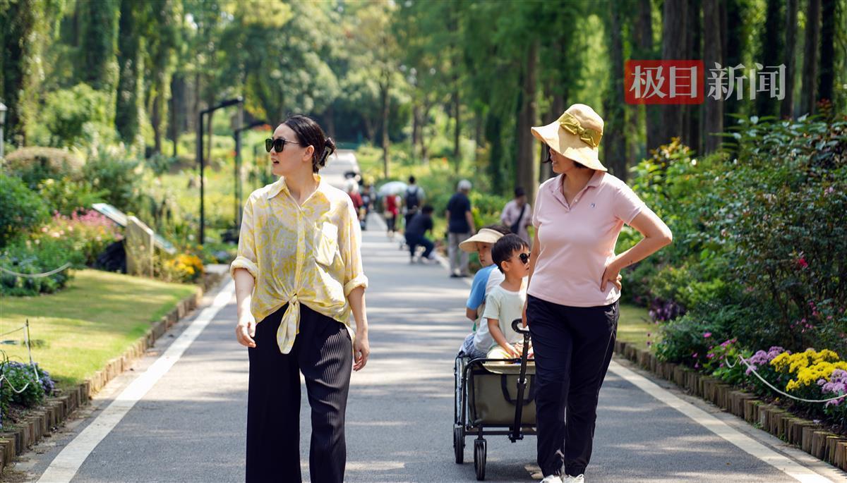 足球平台出租网